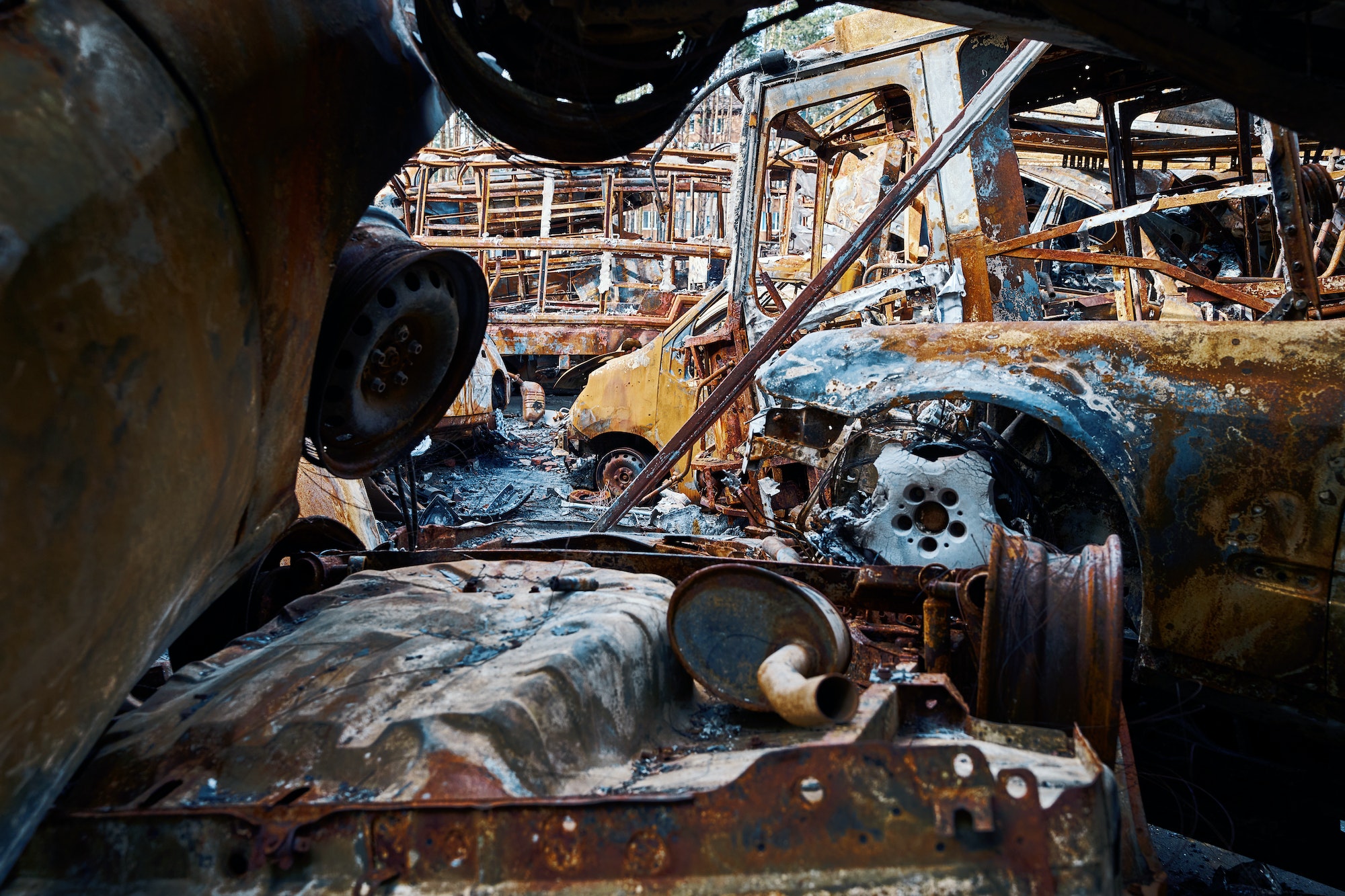 Cars in Scrap Yards
