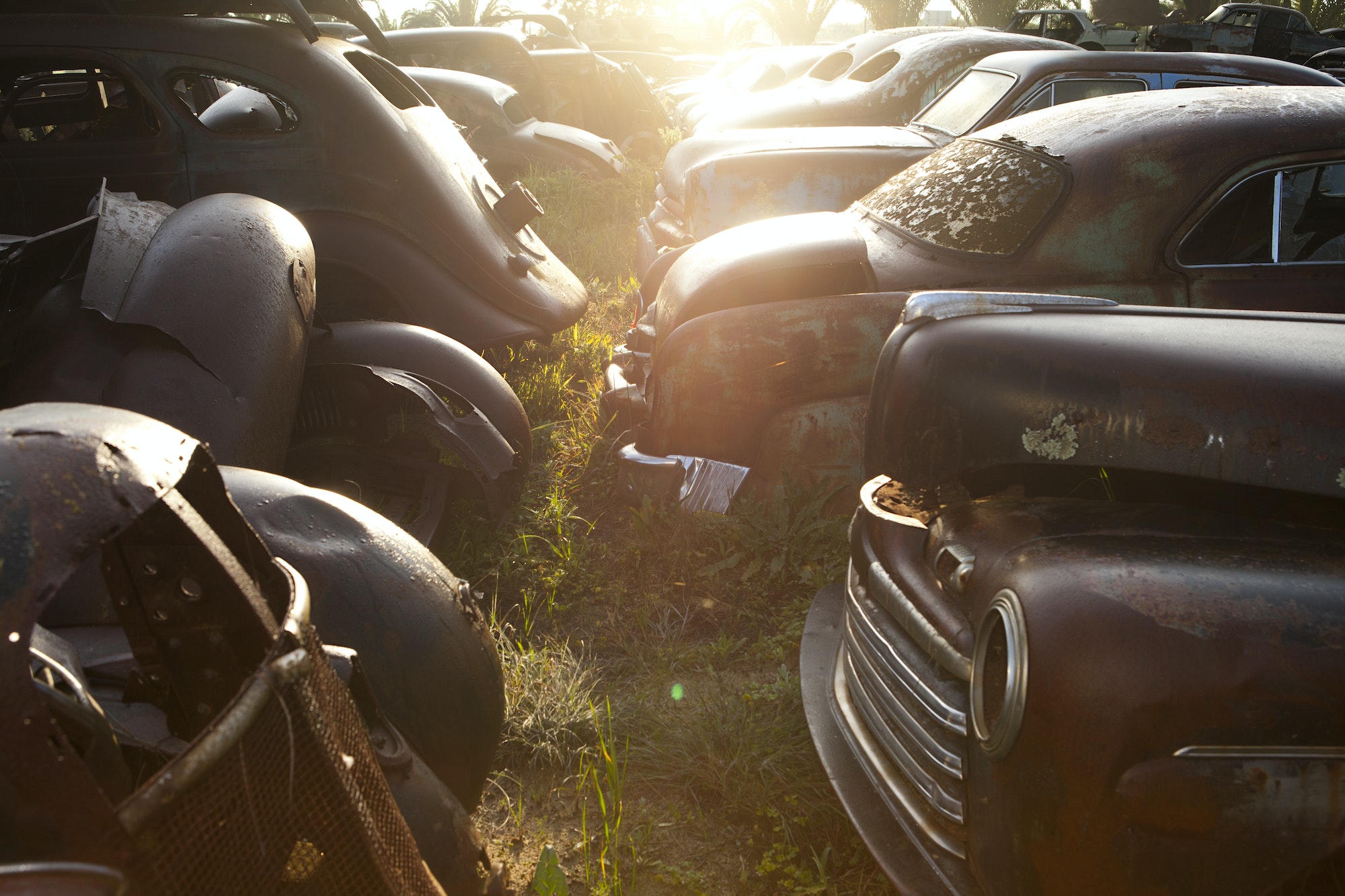 Vintage cars abandoned in scrap yard